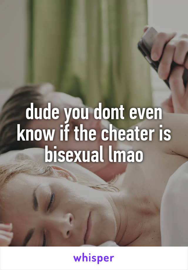 dude you dont even know if the cheater is bisexual lmao