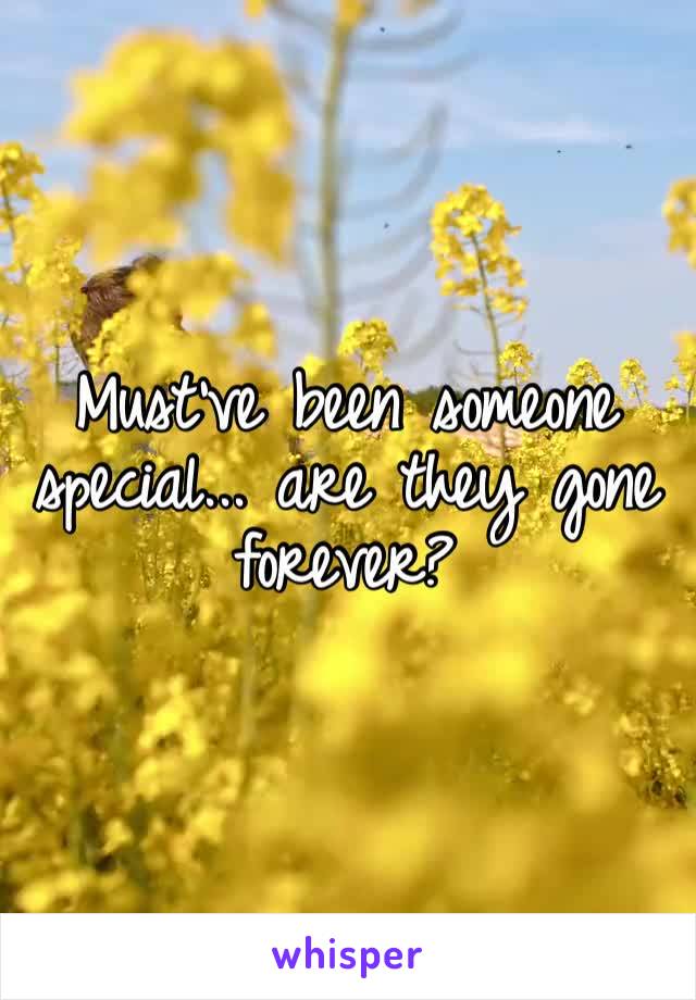Must’ve been someone special... are they gone forever?