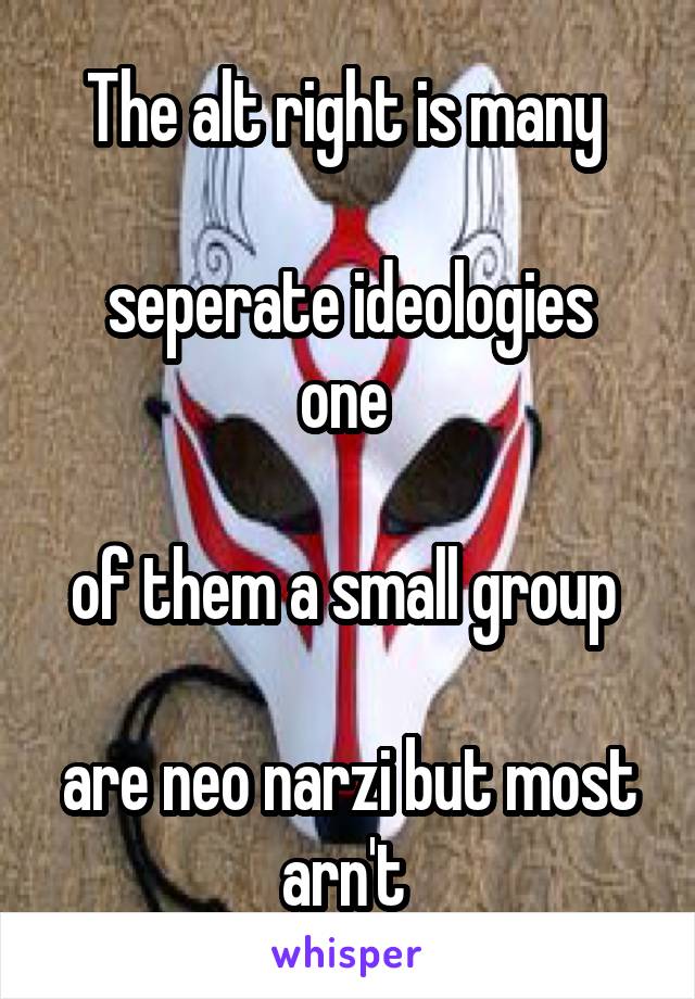 The alt right is many 

seperate ideologies one 

of them a small group 

are neo narzi but most arn't 