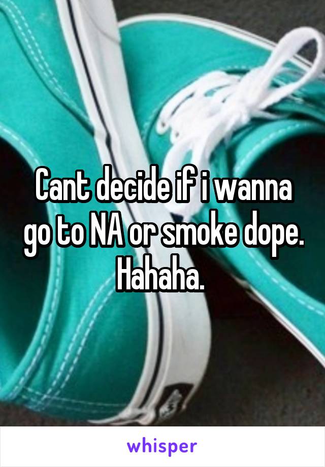 Cant decide if i wanna go to NA or smoke dope. Hahaha. 