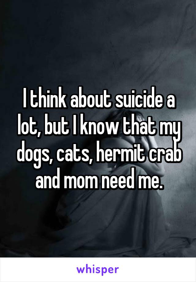 I think about suicide a lot, but I know that my dogs, cats, hermit crab and mom need me.