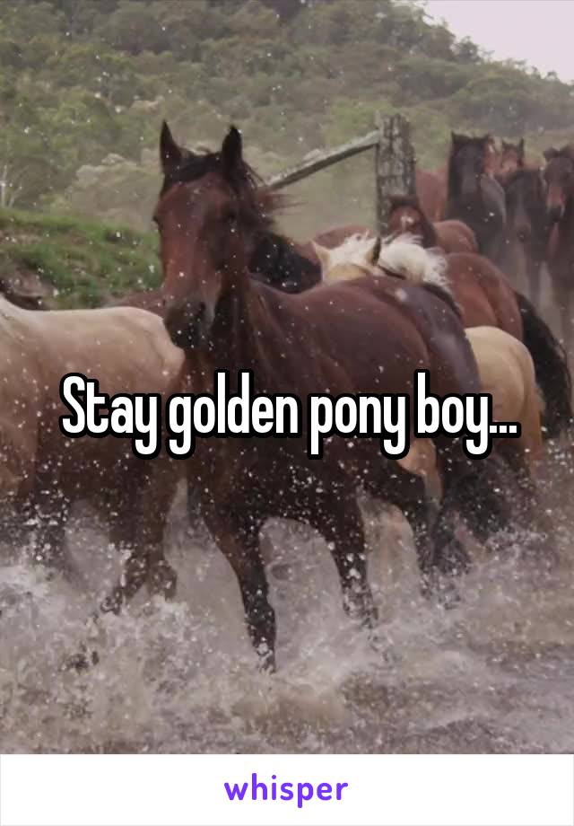 Stay golden pony boy...