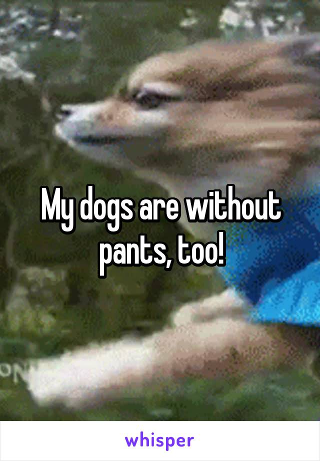 My dogs are without pants, too!