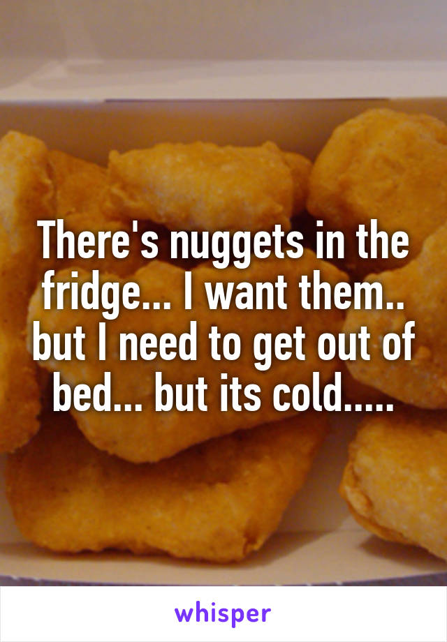 There's nuggets in the fridge... I want them.. but I need to get out of bed... but its cold.....