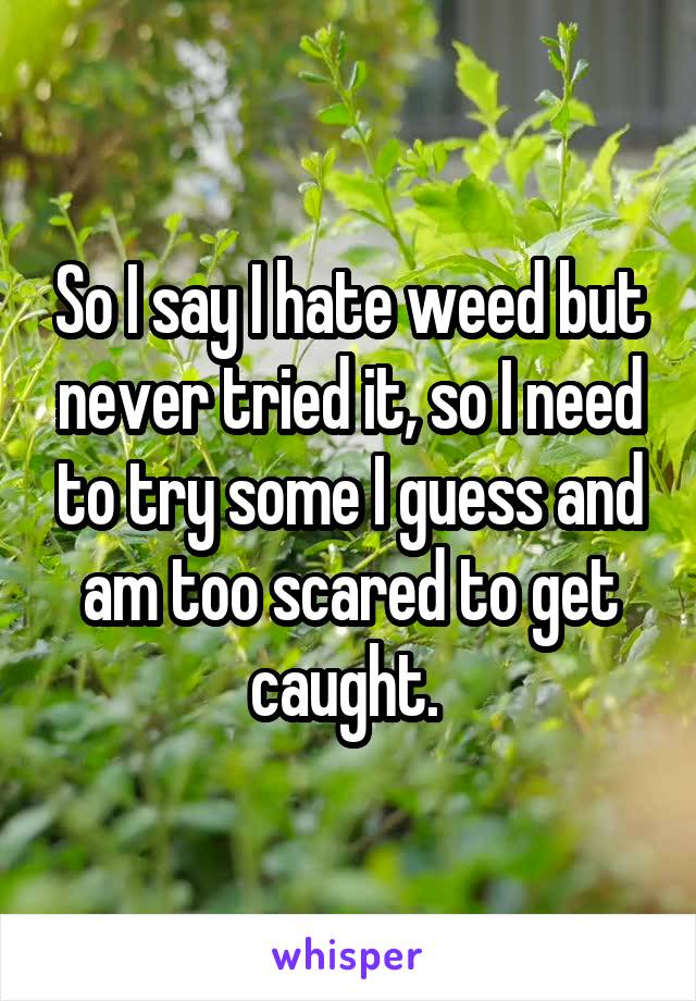 So I say I hate weed but never tried it, so I need to try some I guess and am too scared to get caught. 