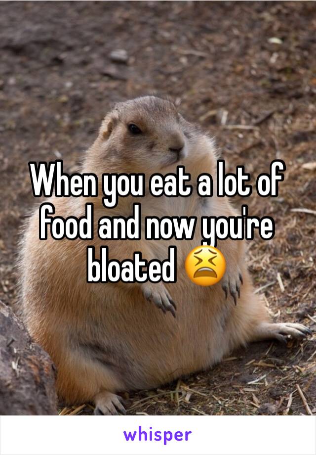 When you eat a lot of food and now you're bloated 😫