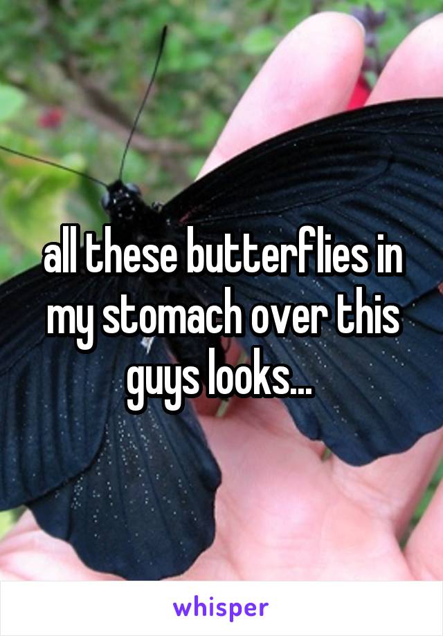 all these butterflies in my stomach over this guys looks... 