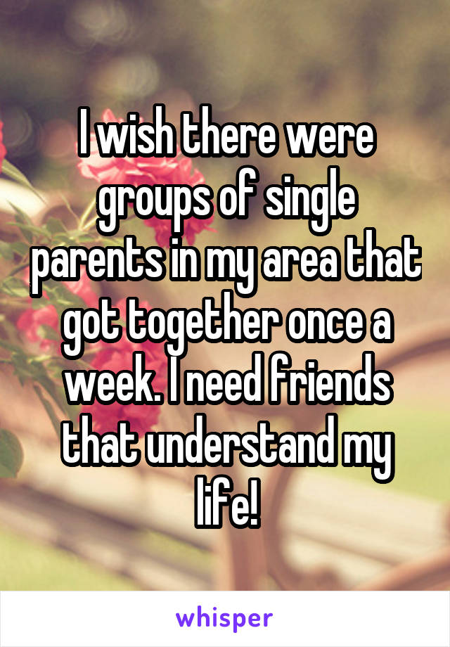 I wish there were groups of single parents in my area that got together once a week. I need friends that understand my life!
