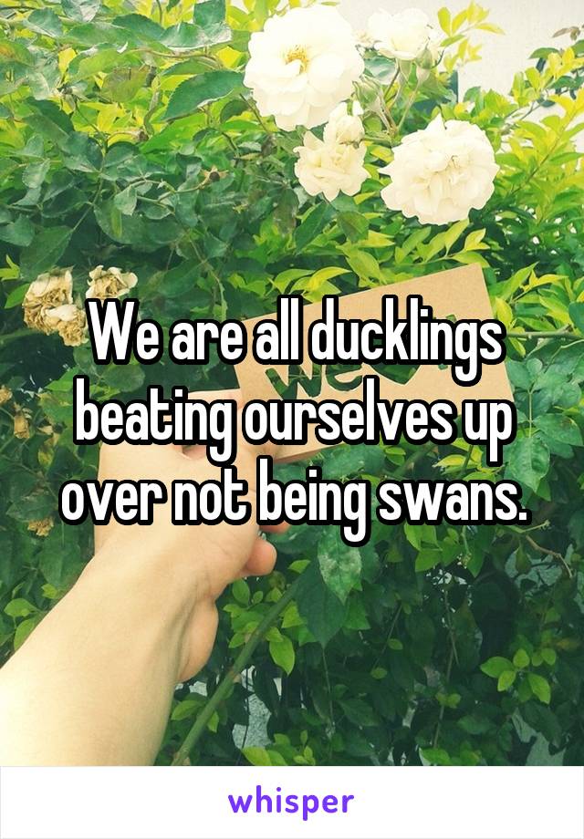 We are all ducklings beating ourselves up over not being swans.