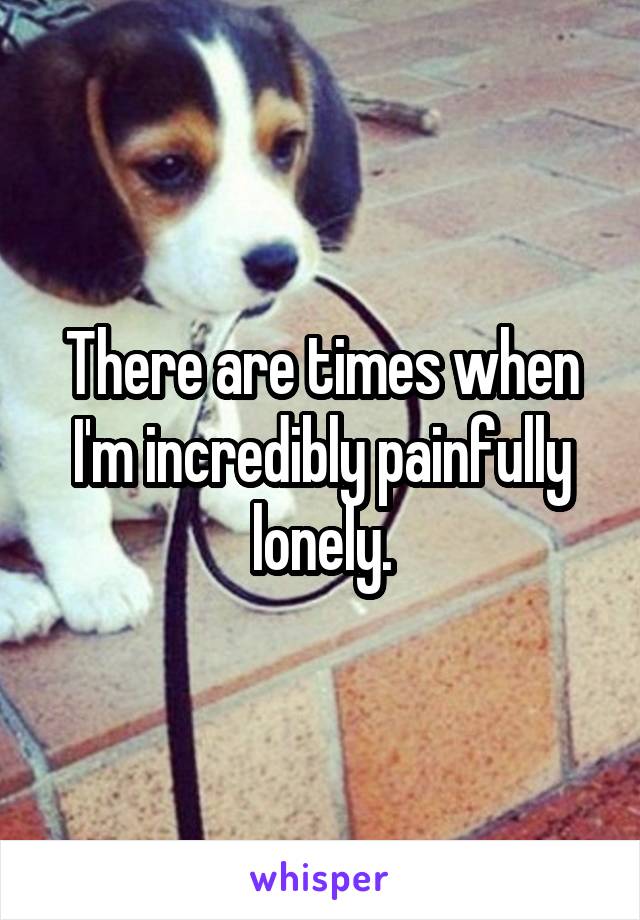 There are times when I'm incredibly painfully lonely.