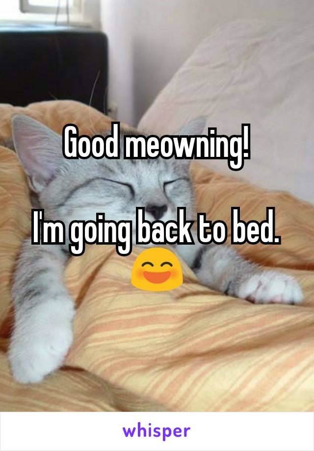 Good meowning!

I'm going back to bed.
😄
