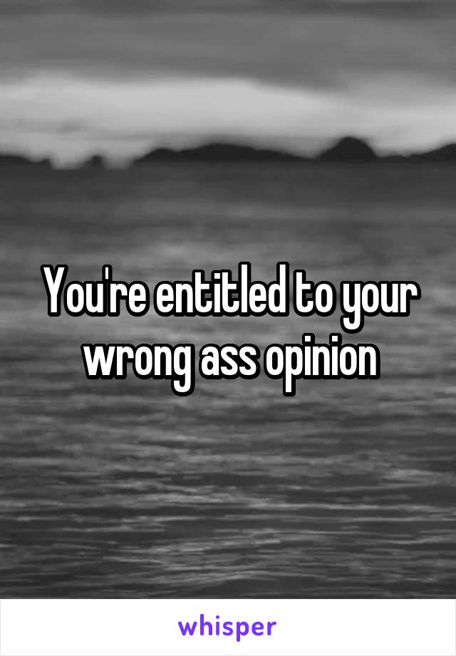 You're entitled to your wrong ass opinion