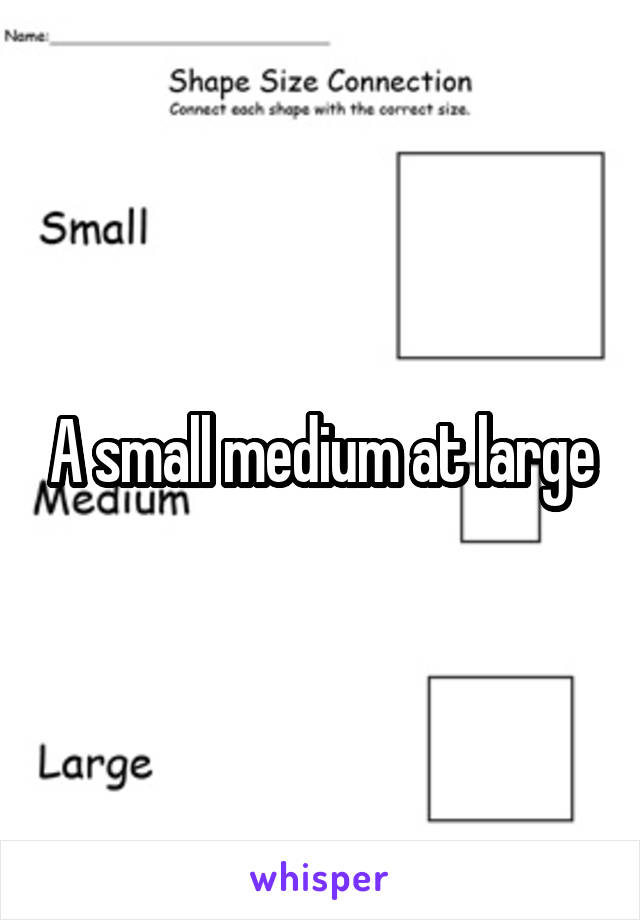 A small medium at large