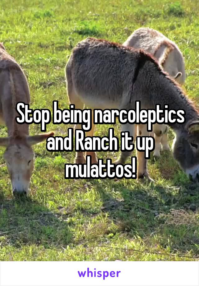 Stop being narcoleptics and Ranch it up mulattos!