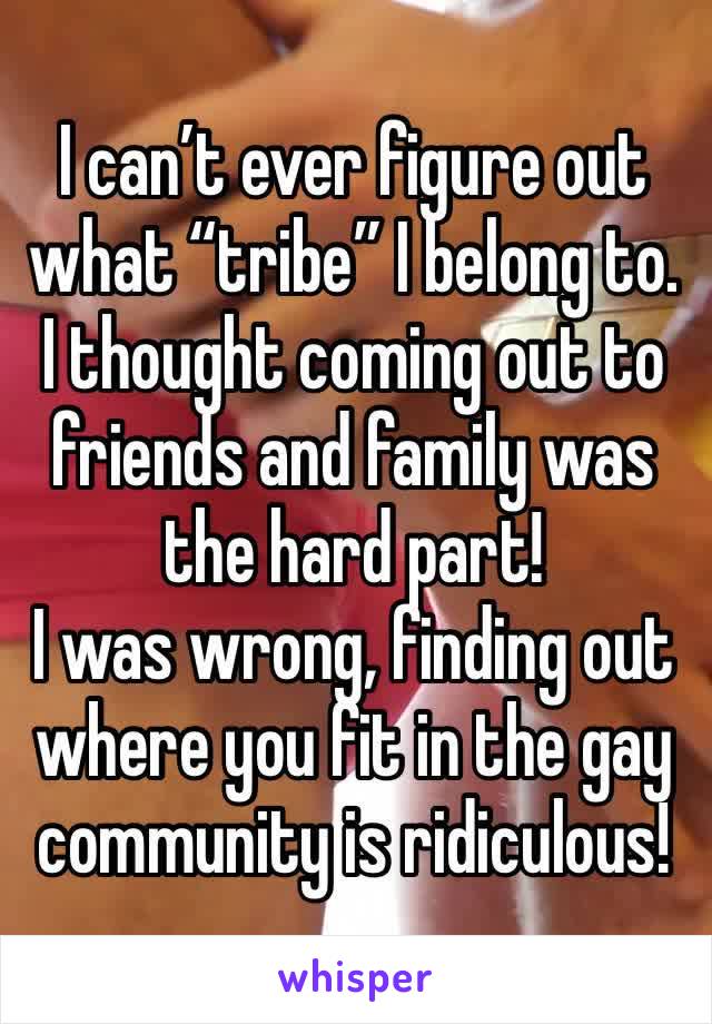 I can’t ever figure out what “tribe” I belong to. 
I thought coming out to friends and family was the hard part!
I was wrong, finding out where you fit in the gay community is ridiculous!