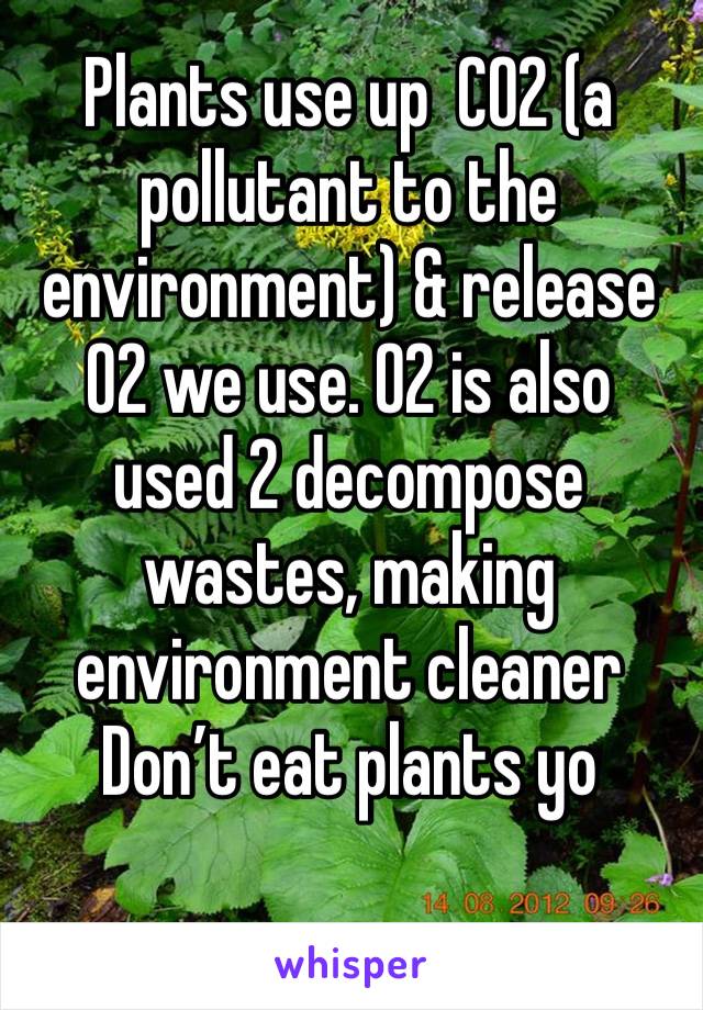 Plants use up  CO2 (a pollutant to the environment) & release O2 we use. O2 is also used 2 decompose wastes, making environment cleaner
Don’t eat plants yo