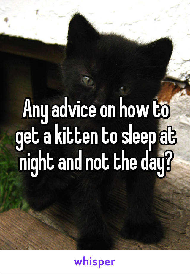 Any advice on how to get a kitten to sleep at night and not the day?