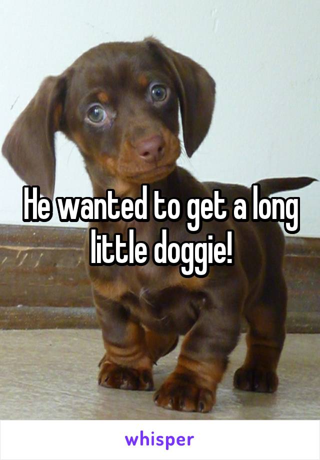He wanted to get a long little doggie!