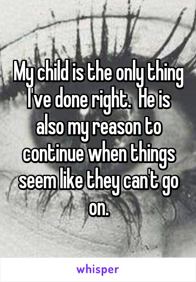 My child is the only thing I've done right.  He is also my reason to continue when things seem like they can't go on.