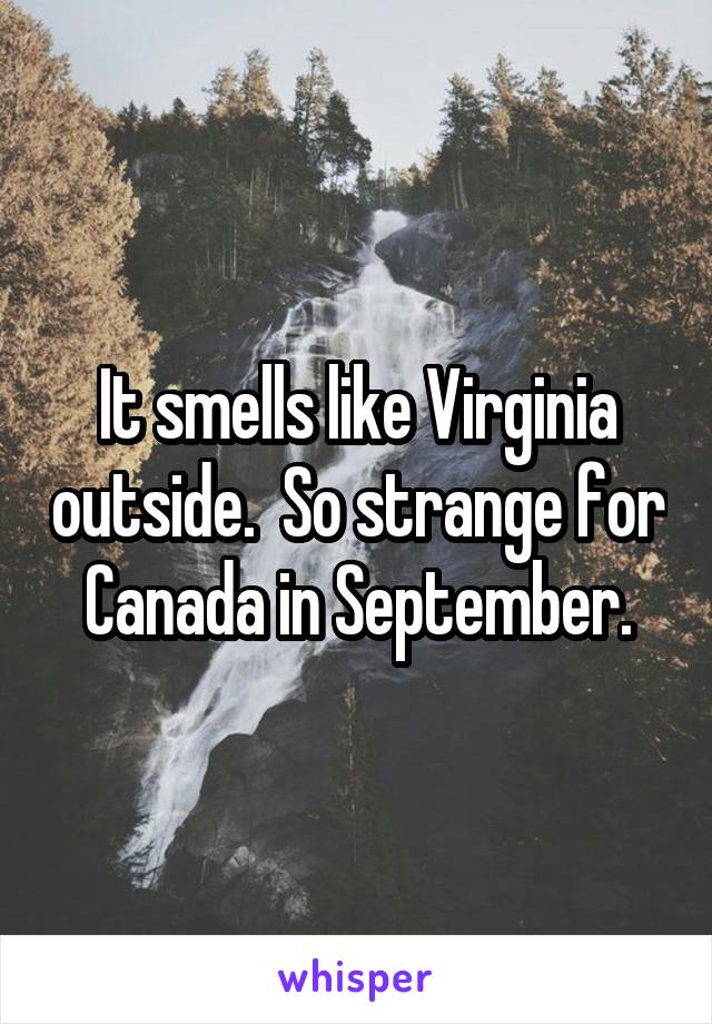 It smells like Virginia outside.  So strange for Canada in September.
