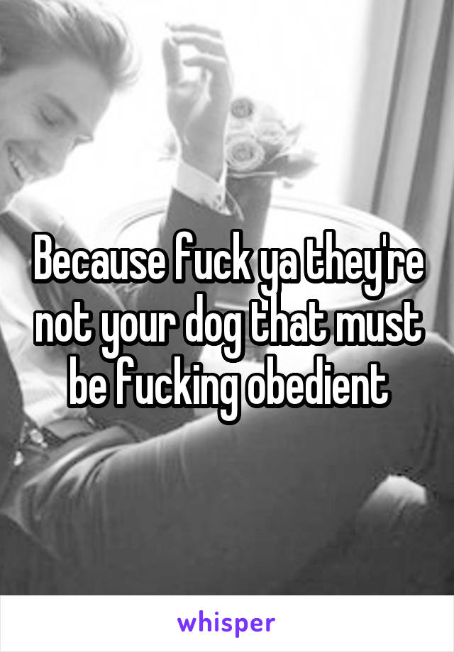 Because fuck ya they're not your dog that must be fucking obedient