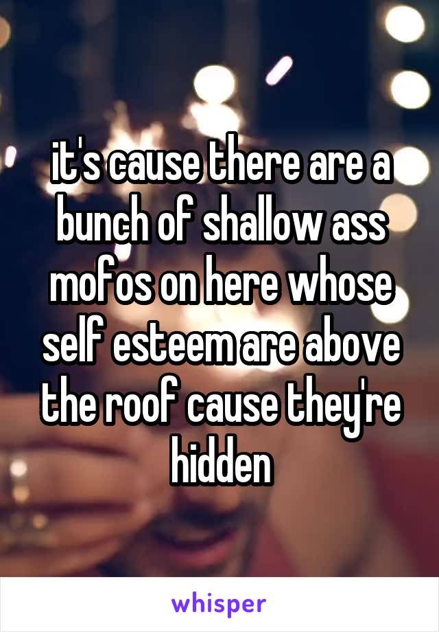 it's cause there are a bunch of shallow ass mofos on here whose self esteem are above the roof cause they're hidden
