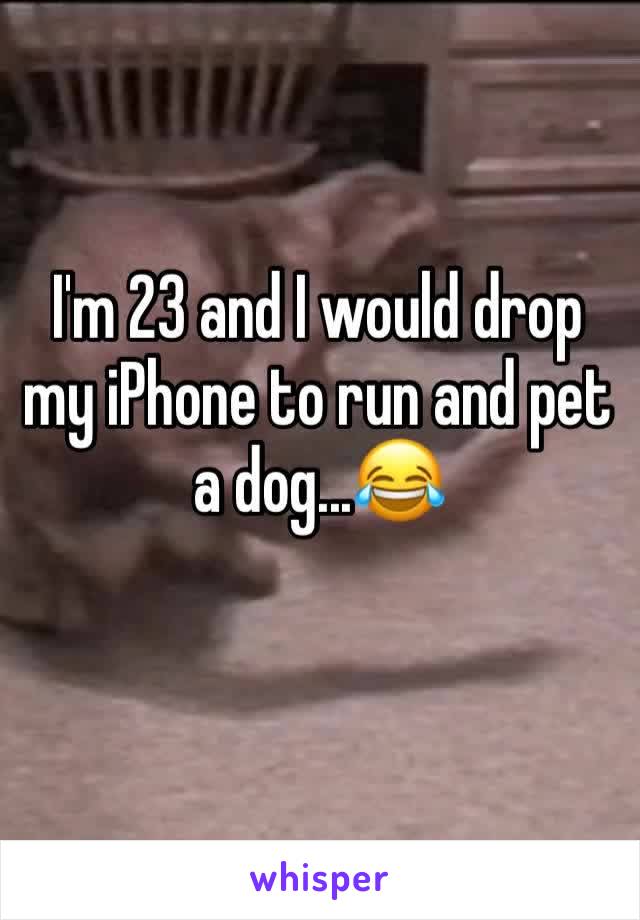 I'm 23 and I would drop my iPhone to run and pet a dog...😂 