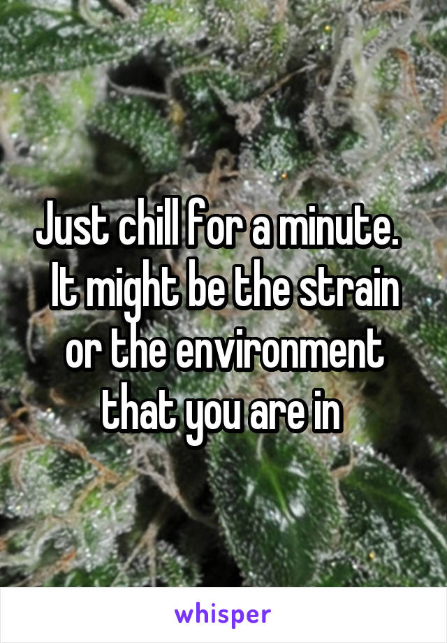 Just chill for a minute.   It might be the strain or the environment that you are in 