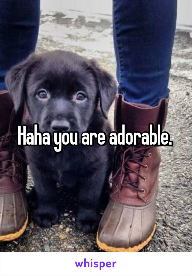 Haha you are adorable. 
