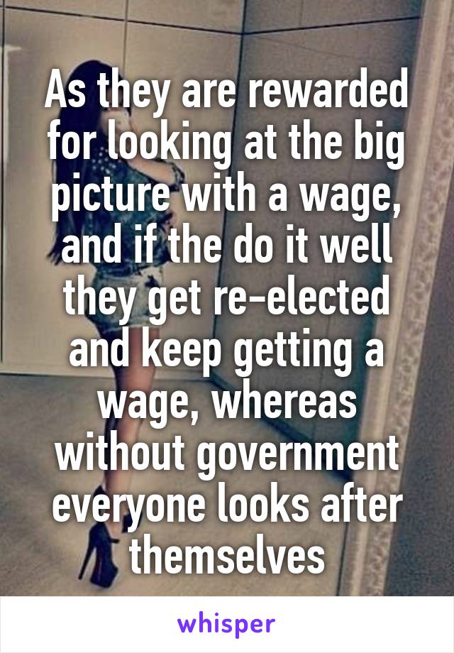 As they are rewarded for looking at the big picture with a wage, and if the do it well they get re-elected and keep getting a wage, whereas without government everyone looks after themselves