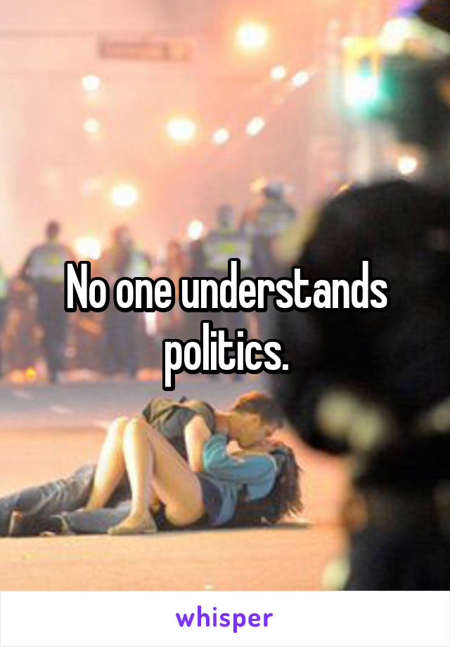 No one understands politics.