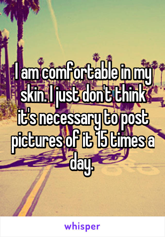 I am comfortable in my skin. I just don't think it's necessary to post pictures of it 15 times a day. 
