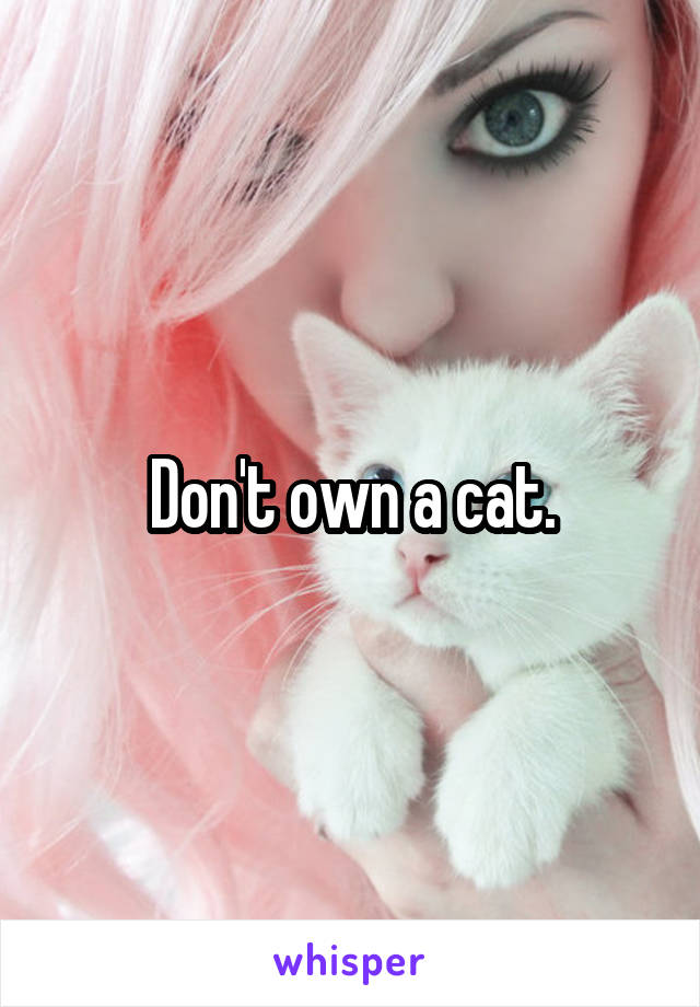 Don't own a cat.