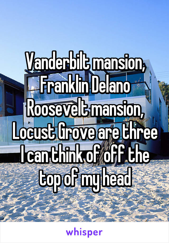Vanderbilt mansion, Franklin Delano Roosevelt mansion, Locust Grove are three I can think of off the top of my head