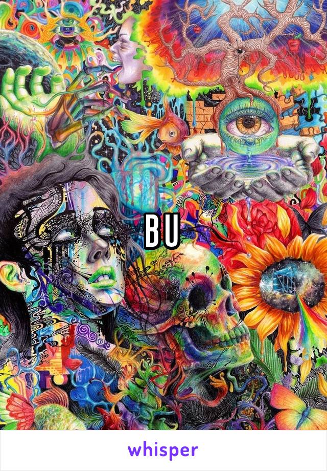 B U 