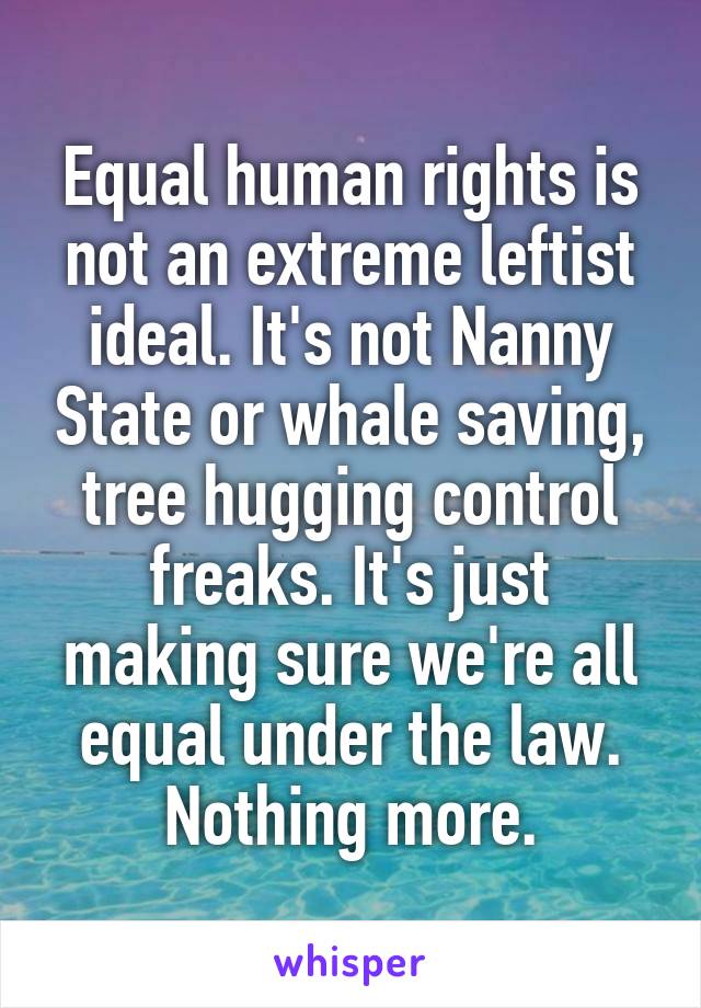 Equal human rights is not an extreme leftist ideal. It's not Nanny State or whale saving, tree hugging control freaks. It's just making sure we're all equal under the law. Nothing more.