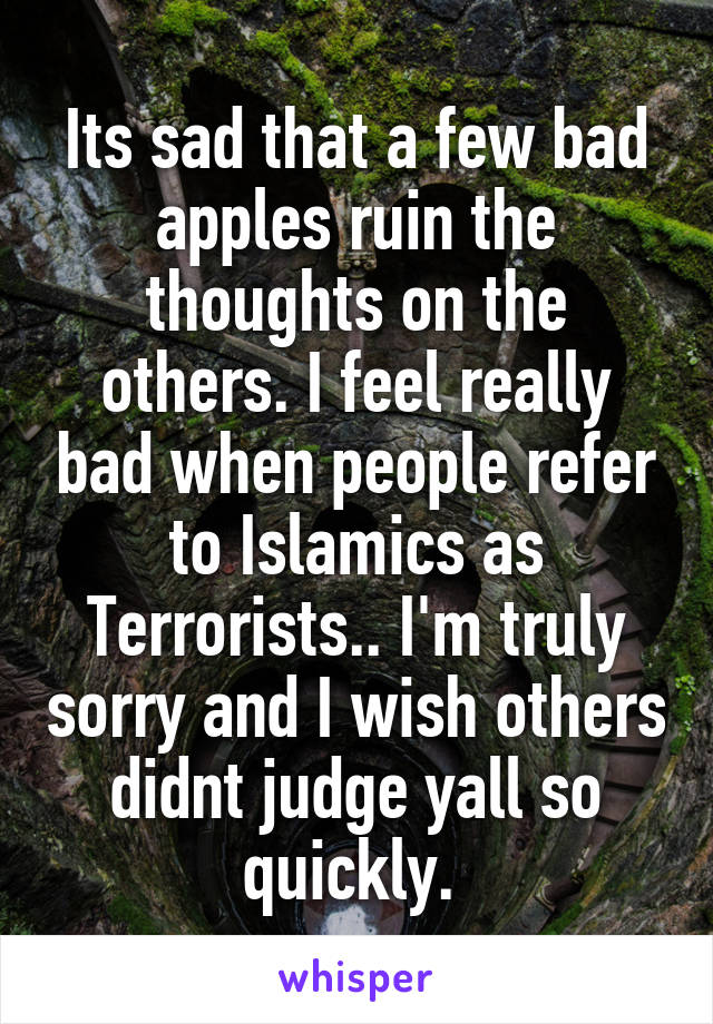 Its sad that a few bad apples ruin the thoughts on the others. I feel really bad when people refer to Islamics as Terrorists.. I'm truly sorry and I wish others didnt judge yall so quickly. 