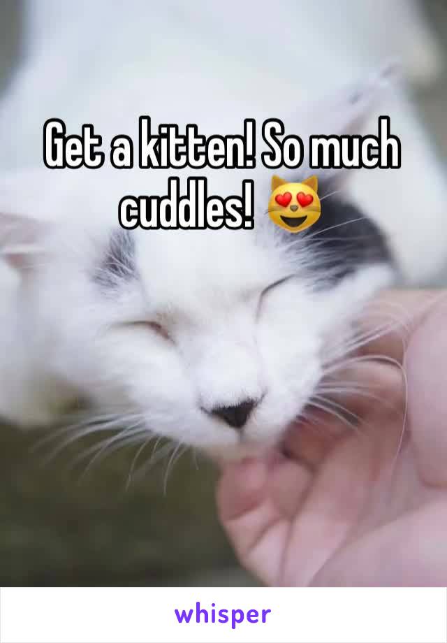 Get a kitten! So much cuddles! 😻