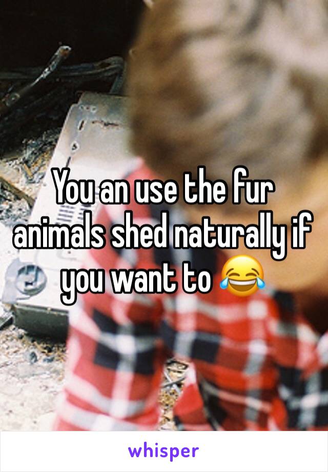 You an use the fur animals shed naturally if you want to 😂 