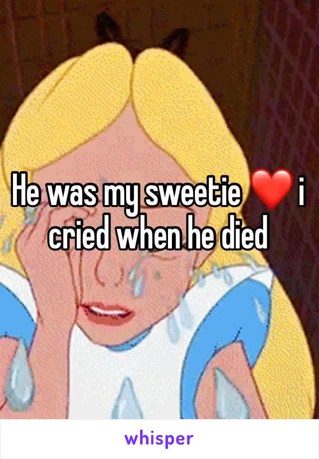 He was my sweetie ❤️ i cried when he died