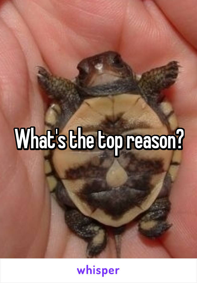 What's the top reason?