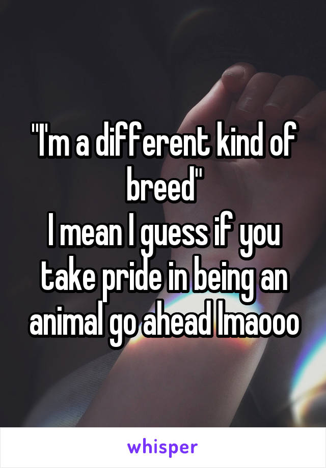 "I'm a different kind of breed"
I mean I guess if you take pride in being an animal go ahead lmaooo