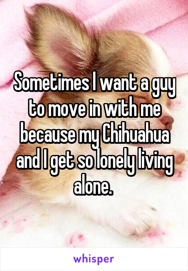 Sometimes I want a guy to move in with me because my Chihuahua and I get so lonely living alone. 