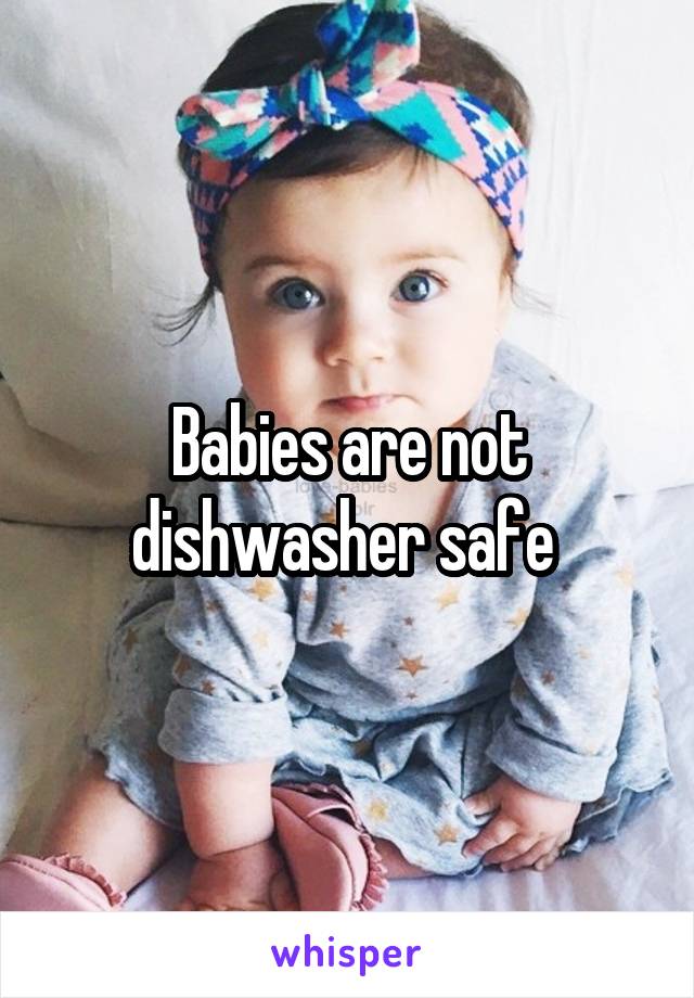 Babies are not dishwasher safe 