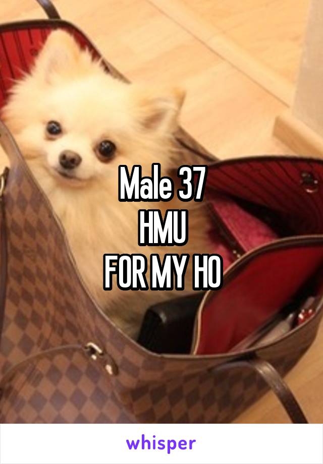 Male 37
HMU
FOR MY HO