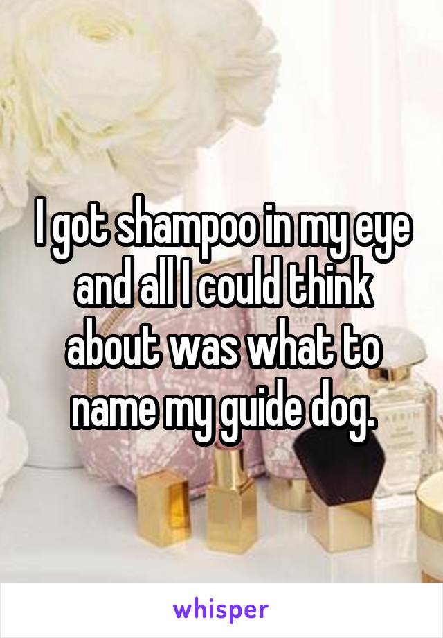 I got shampoo in my eye and all I could think about was what to name my guide dog.