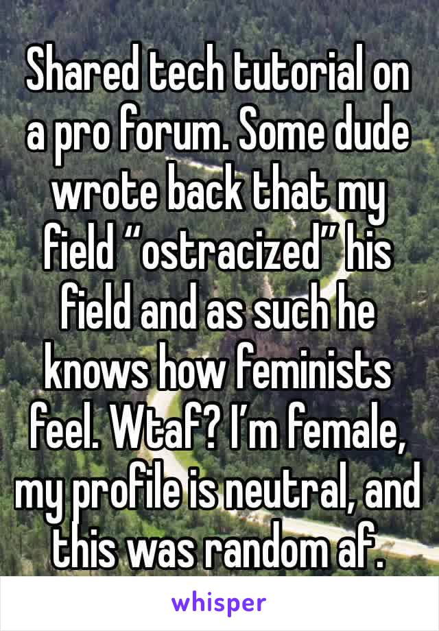 Shared tech tutorial on a pro forum. Some dude wrote back that my field “ostracized” his field and as such he knows how feminists feel. Wtaf? I’m female, my profile is neutral, and this was random af.