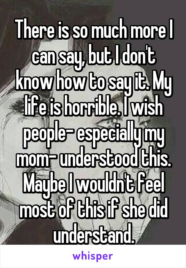 There is so much more I can say, but I don't know how to say it. My life is horrible. I wish people- especially my mom- understood this. Maybe I wouldn't feel most of this if she did understand.