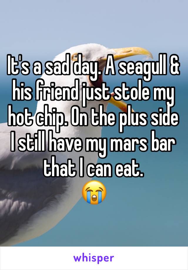 It's a sad day. A seagull & his friend just stole my hot chip. On the plus side I still have my mars bar that I can eat. 
😭
