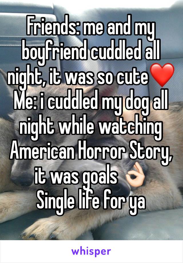 Friends: me and my boyfriend cuddled all night, it was so cute❤️
Me: i cuddled my dog all night while watching American Horror Story, it was goals 👌🏻
Single life for ya 